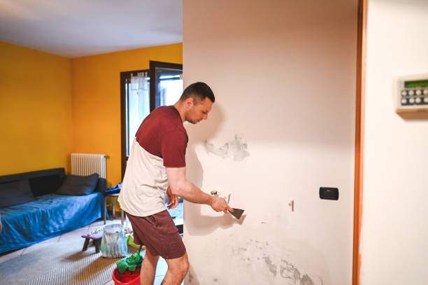 Best Residential Mold Removal  in Mokena, IL